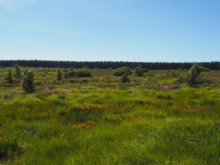 Signal de Botrange (Belgium)